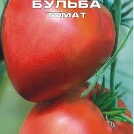 Томат (Помидор) обыкновенный Тарас Бульба