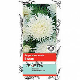 Астра коготковая Белая