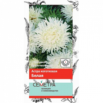 Астра коготковая Белая
