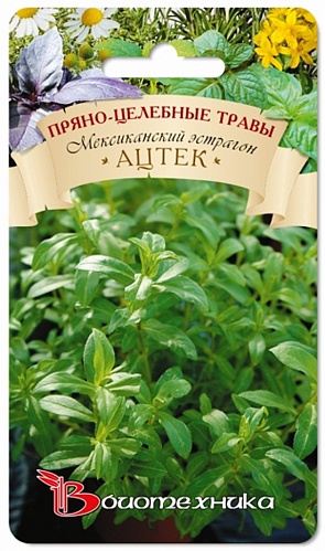 Эстрагон (Тархун) мексиканский Ацтек