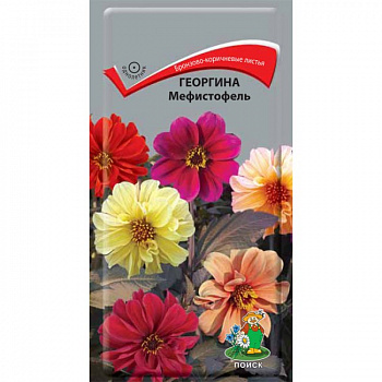 Георгина Мефистофель