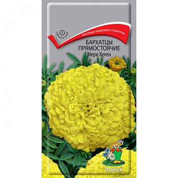 Бархатцы прямостоячие Мери Хелен