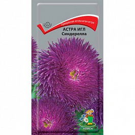 Астра Игл Синдерелла