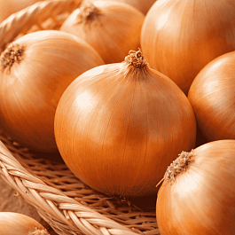 Лук-севок Альфа