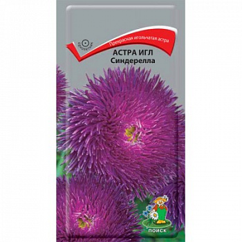 Астра Игл Синдерелла