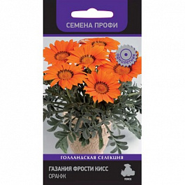 Газания Фрости Кисс Оранж