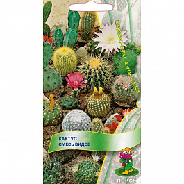 Кактус Смесь видов