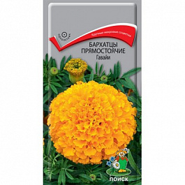 Бархатцы прямостоячие Гавайи