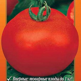Томат (Помидор) обыкновенный Король-Гигант IХ F1