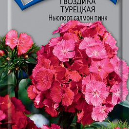 Гвоздика Турецкая Ньюпорт салмон пинк