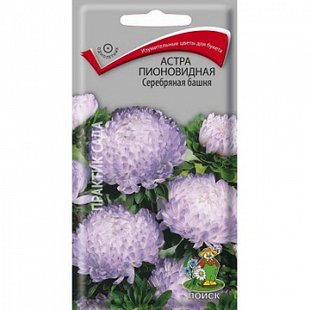Астра пионовидная Серебряная башня Астра пионовидная Серебряная башня