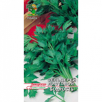 Сельдерей листовой Бодрость