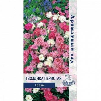 Гвоздика перистая Грезы