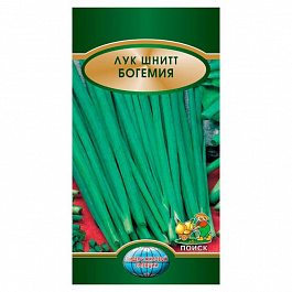 Лук шнитт Богемия