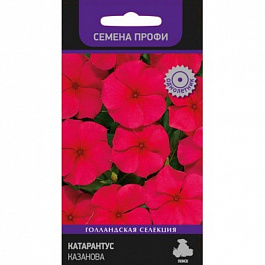 Катарантус Казанова