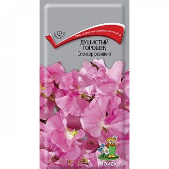 Душистый горошек Спенсер Резидент