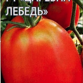Томат (Помидор) обыкновенный Царевна Лебедь красный F1