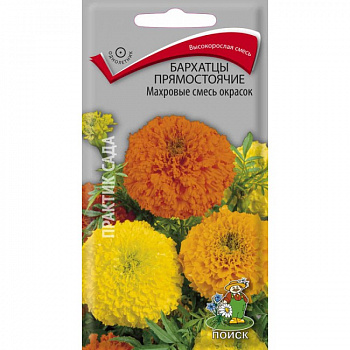 Бархатцы прямостоячие Махровые смесь окрасок