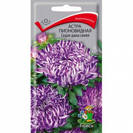 Астра пионовидная Седая Дама синяя