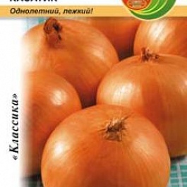 Лук Репчатый Касатик