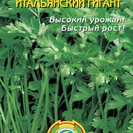 Петрушка Итальянский гигант