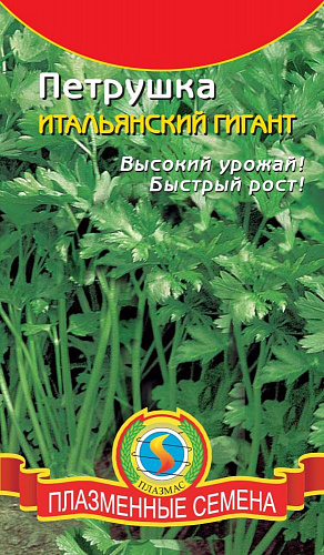 Петрушка Итальянский гигант