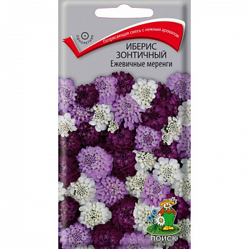 Иберис зонтичный Ежевичные меренги