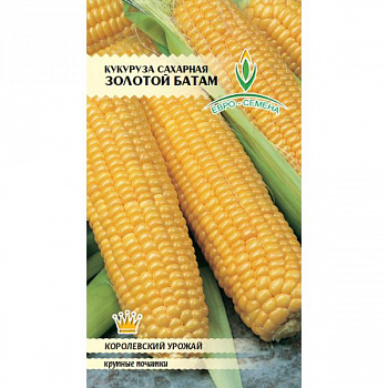 Кукуруза Золотой батам
