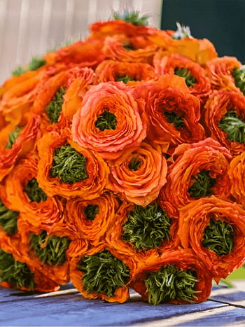 Роза чайно-гибридная Green Island ® Samoa