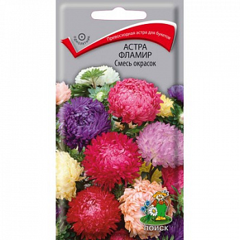 Астра Фламир Смесь Окрасок