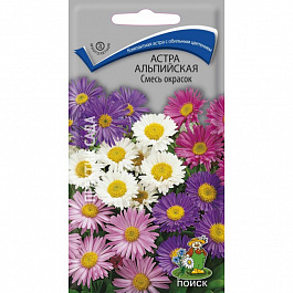 Астра альпийская Смесь окрасок