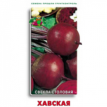Свёкла столовая Хавская