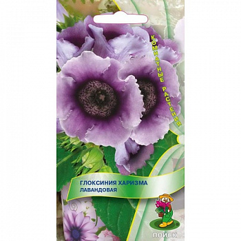 Глоксиния Харизма Лавандовая