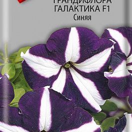 Петуния грандифлора Галактика F1 Синяя
