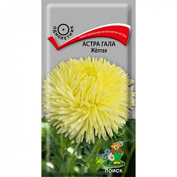 Астра Гала Желтая
