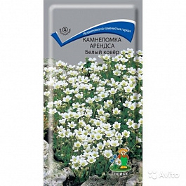Камнеломка Арендса Белый ковер