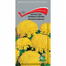Бархатцы прямостоячие Цитроненпринц