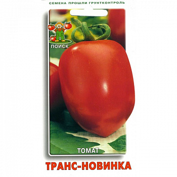 Томат Транс новинка