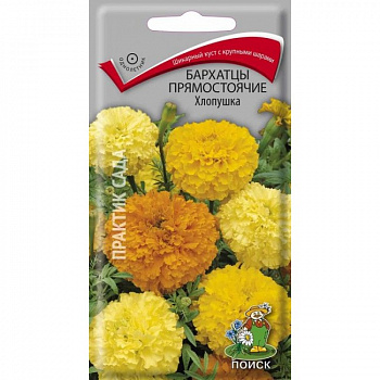 Бархатцы прямостоячие Хлопушка