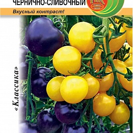 Томат (Помидор) обыкновенный Чернично-сливочный (смесь) F1