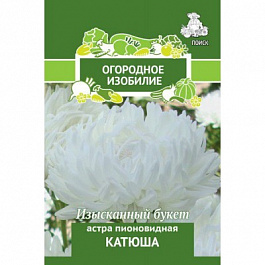 Астра пионовидная Катюша