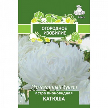 Астра пионовидная Катюша