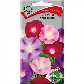 Ипомея Смесь окрасок