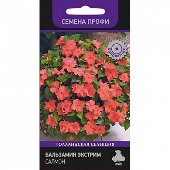 Бальзамин Экстрим Салмон