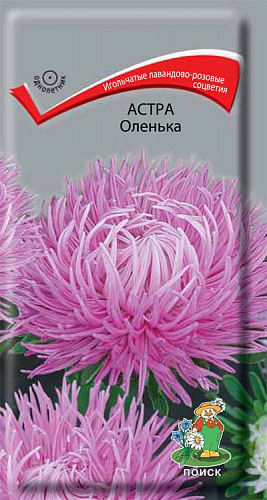 Астра Оленька
