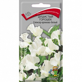 Душистый горошек Спенсер Кремово-белый