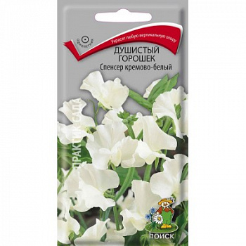 Душистый горошек Спенсер Кремово-белый