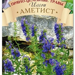 Иссоп (Пчелиная трава) обыкновенный Аметист