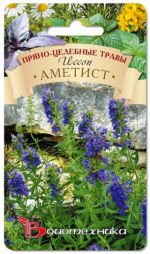 Иссоп (Пчелиная трава) обыкновенный Аметист