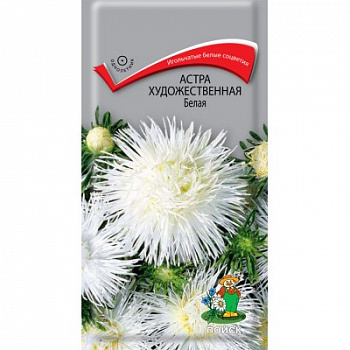 Астра художественная Белая
